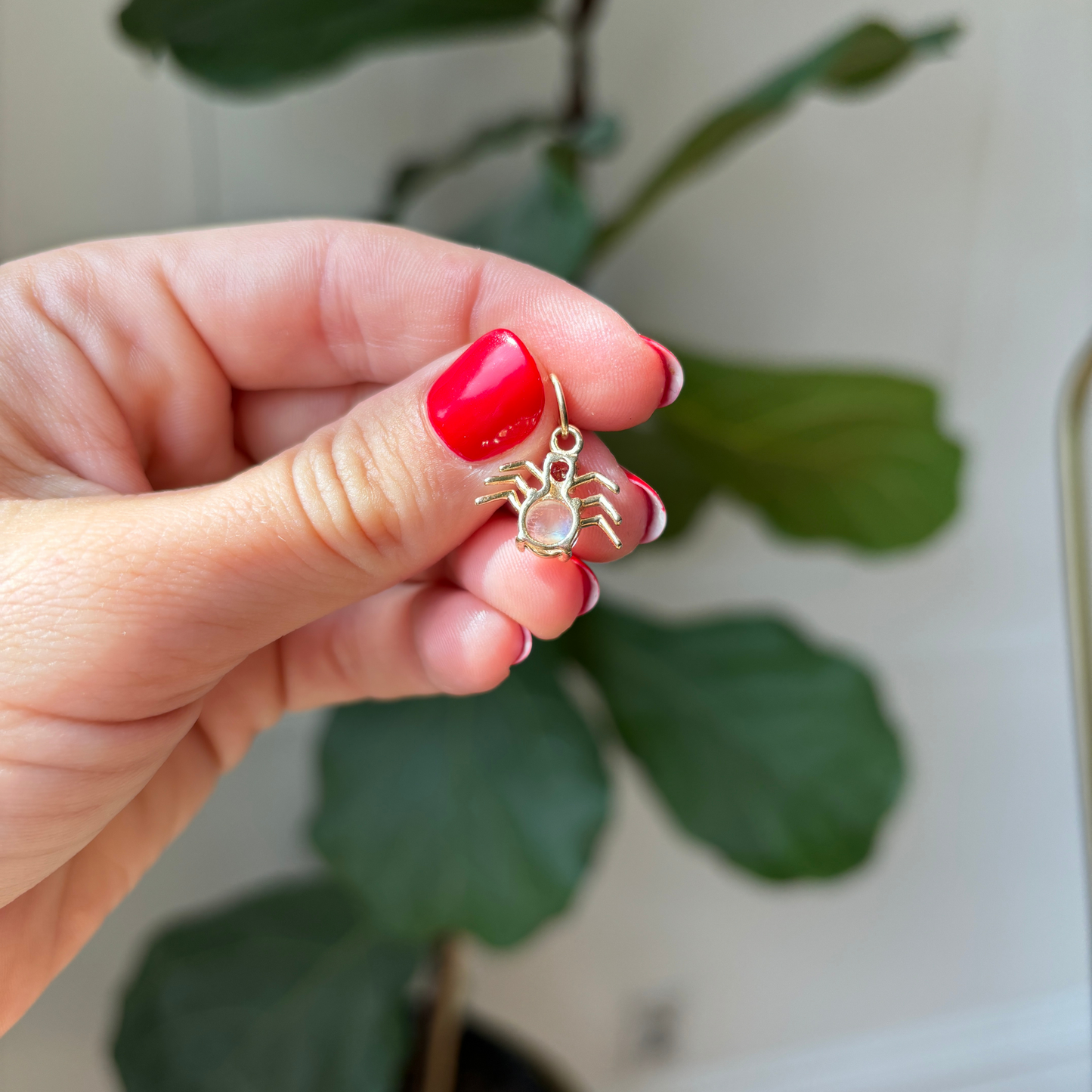 jeweled spider charm
