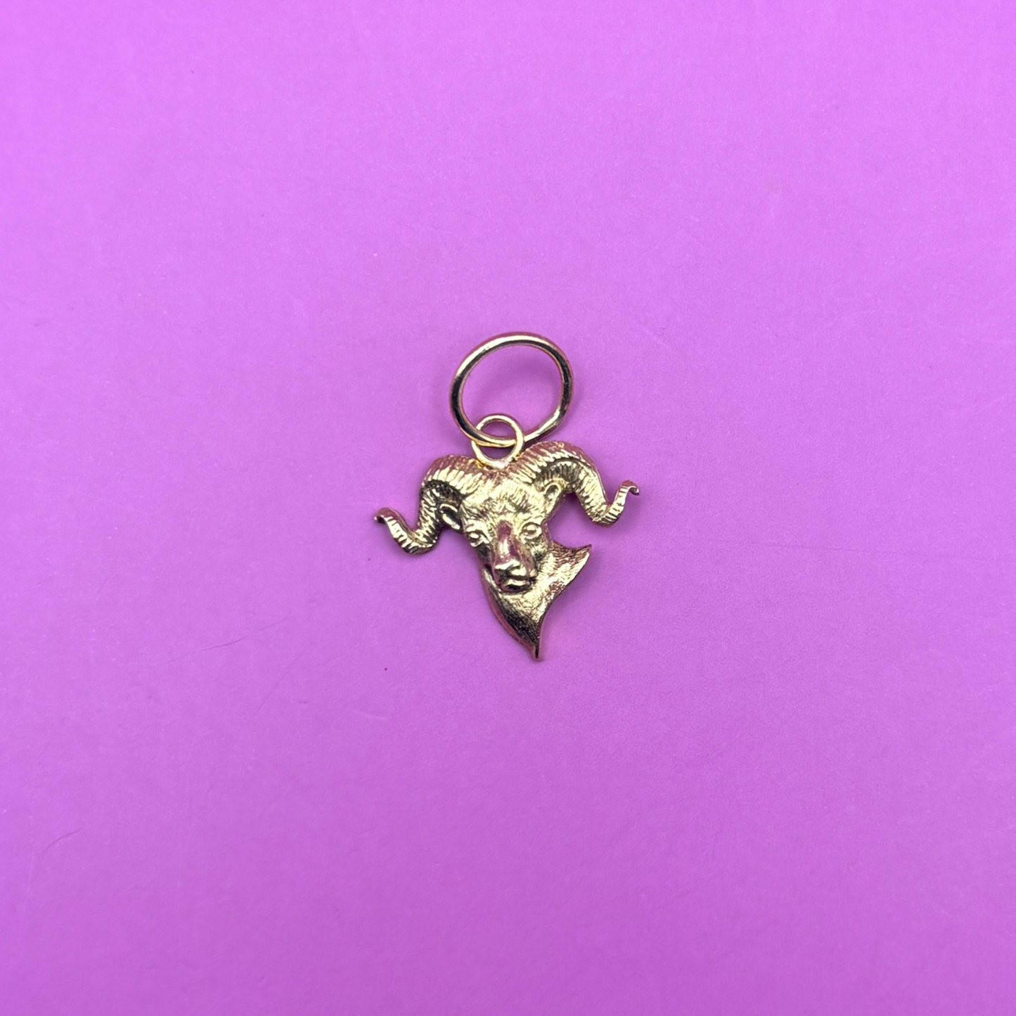 14k ram charm