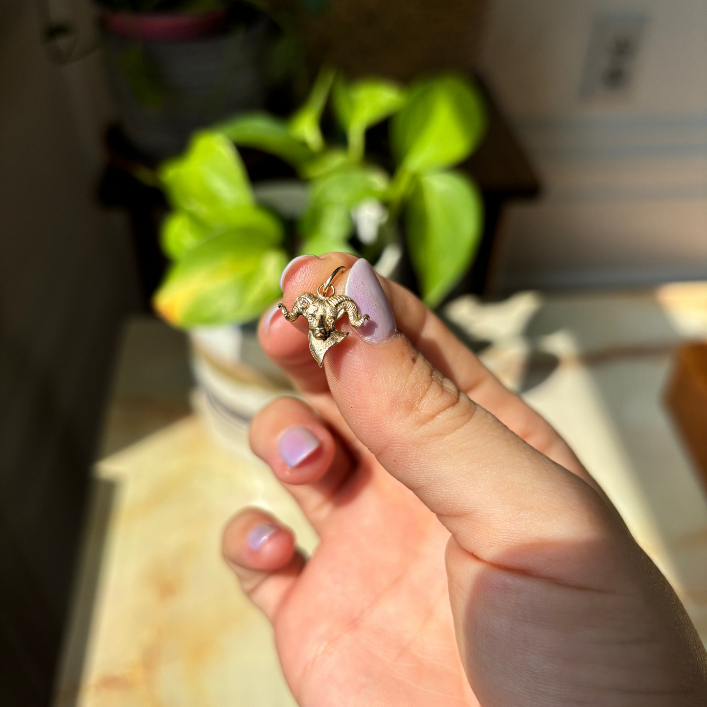 14k ram charm