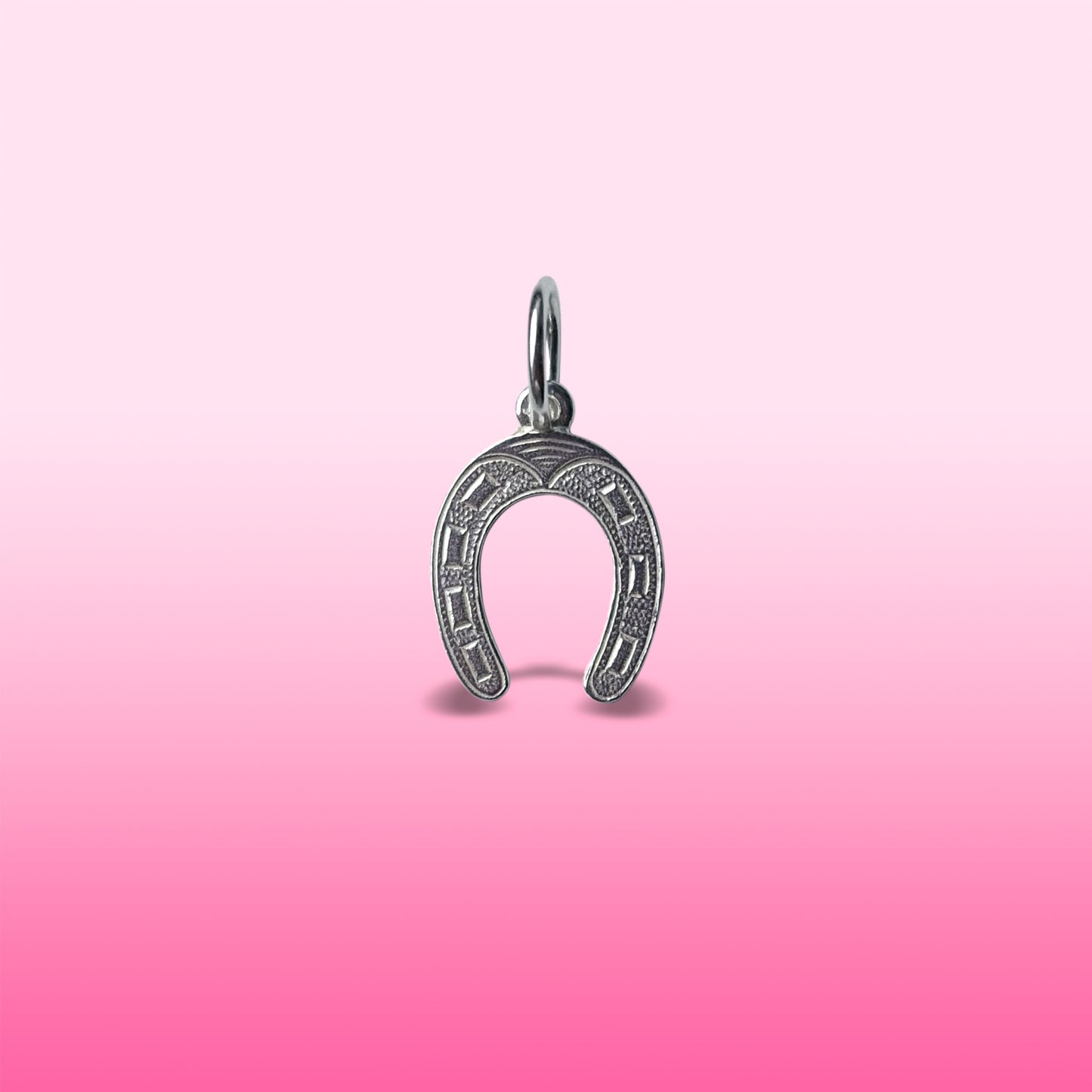 silver horseshoe charm