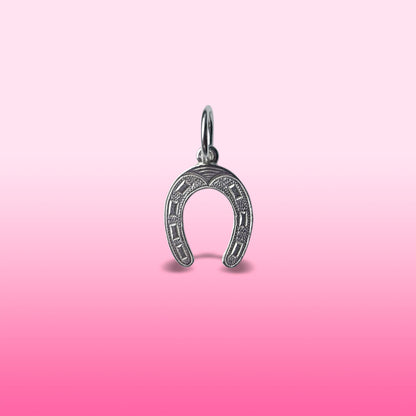 silver horseshoe charm