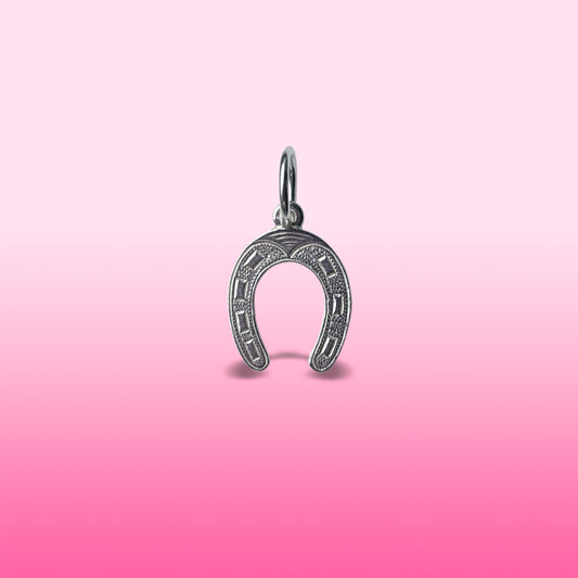 silver horseshoe charm