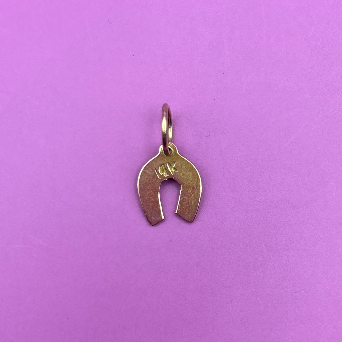 14k horseshoe with blue enamel charm