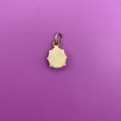 14k rust enamel ladybug charm