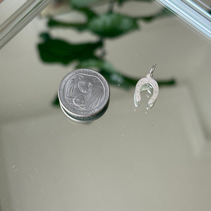 silver horseshoe charm