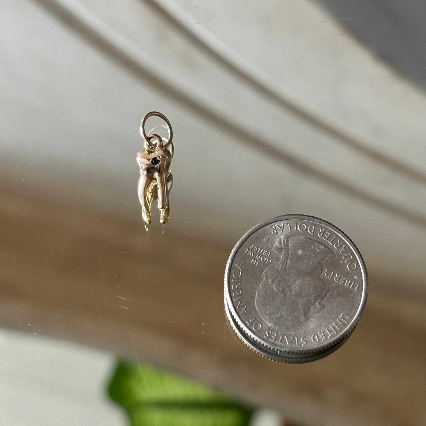 baby tooth with star set black diamond charm