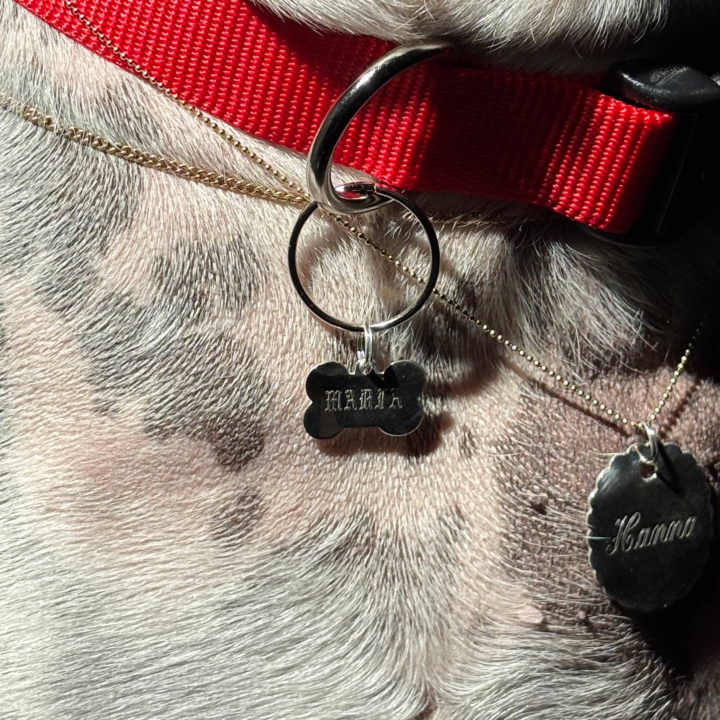 bone dog tag charm