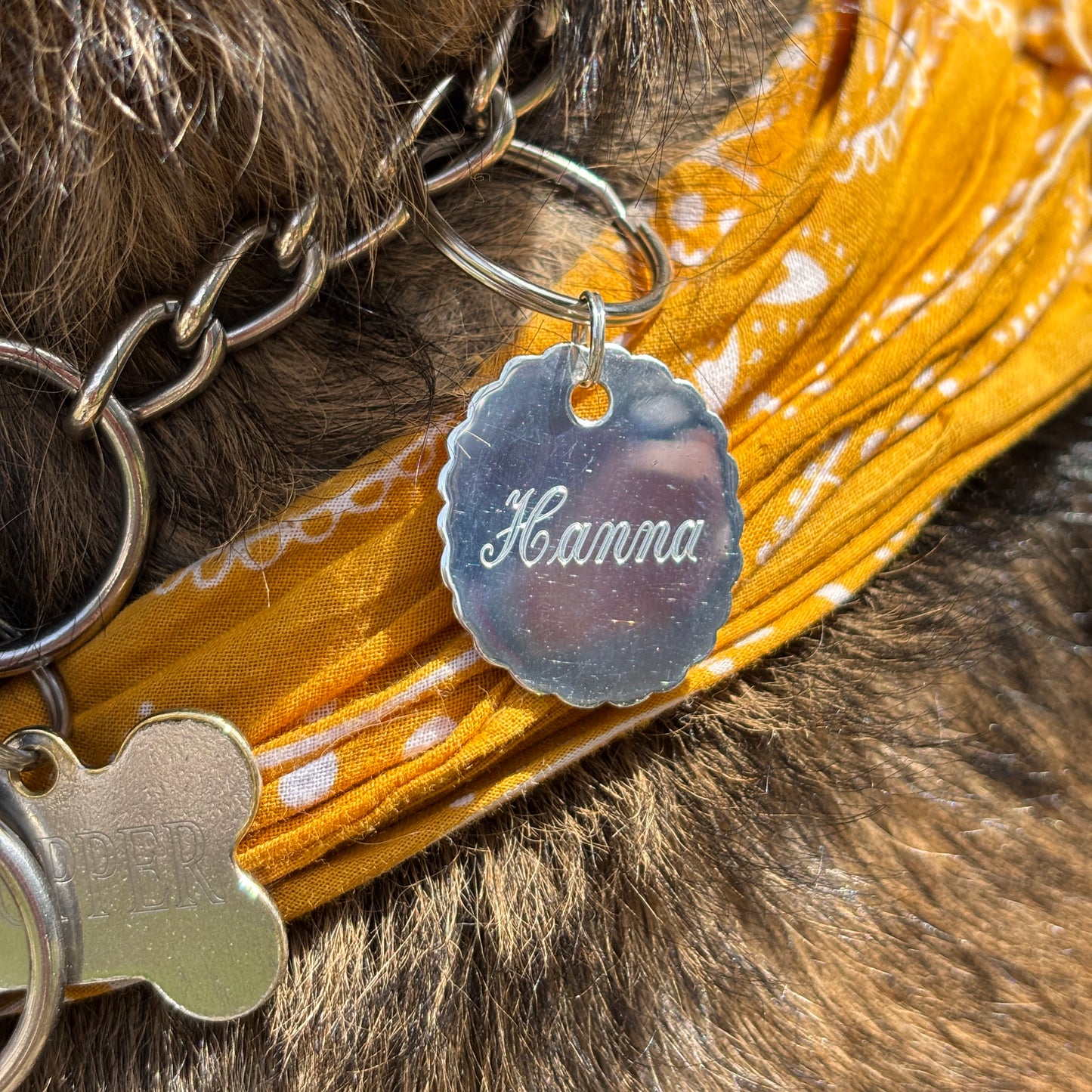 wavy dog tag charm