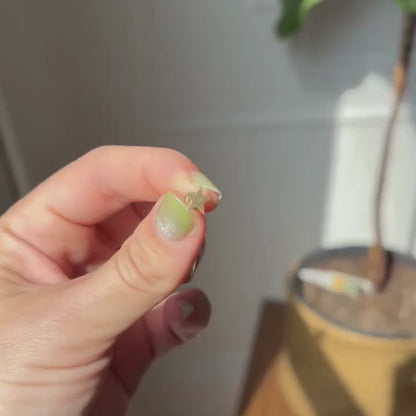 14k flat star single stud earring